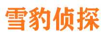 湖南外遇出轨调查取证